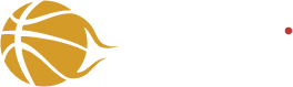 logo Košarka.si